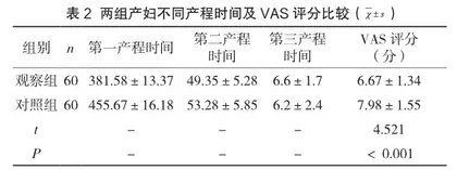 分娩球联合自由体位在初产妇孕期及分娩中的应用2