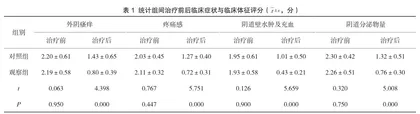 妇科炎症患者治疗中应用蓝氧疗法治疗的临床效果研究