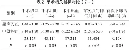 腹腔镜联合超声刀阑尾切除的临床研究2