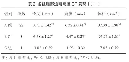 精神分裂症患者脑部透明隔腔的CT表现及价值分析2