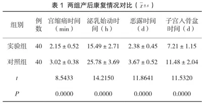 产后综合康复护理的实施效果评估分析