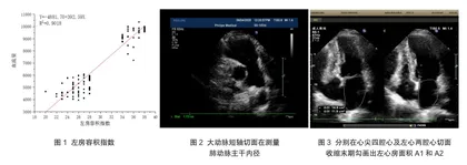 妊娠期及产后母体肺动脉血流量、左心房容积指数变化的超声心动图研究2