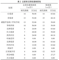 泌尿系统感染病人病原微生物的检验研究2