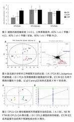 基于代谢组学结合GC-MS对薰衣草水提液保护心肌代谢产物提取方法的比较研究3