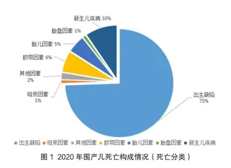 白银市2011-2020年围产儿死亡情况分析3