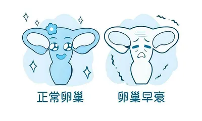 如何预防卵巢早衰