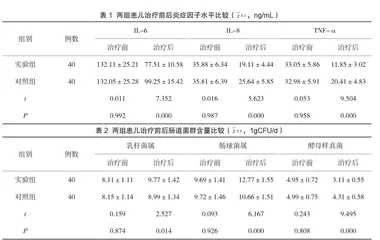 肠炎宁糖浆联合奥替溴铵治疗肠易激综合征的疗效评价