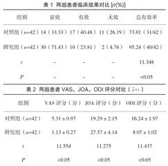 椎间孔镜微创手术治疗腰椎间盘突出症42例患者的临床效果分析