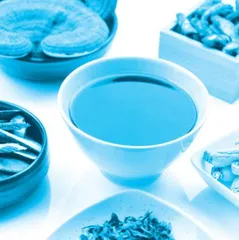 慢性支气管炎的中医治疗