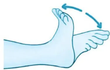 普外科术后如何预防深静脉血栓1