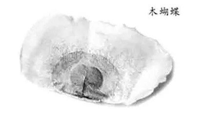 容易“上火”的季节，给保温杯里加点料