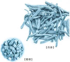 正确选用中药治疗颈椎病