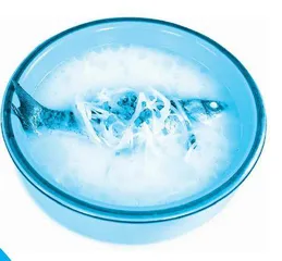 揭秘饭店里的奶白浓汤