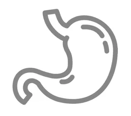 节后，给肠胃  “放个假”