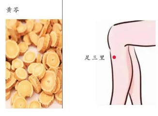 脾胃有湿热多按摩足三里