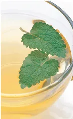 花茶帮你解春困