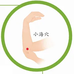 健康圈子