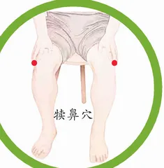 健康新词典等