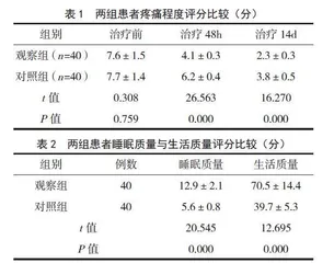 热敏灸联合刺络拔罐法在气虚血瘀型带状疱疹后遗神经痛患者中的应用效果