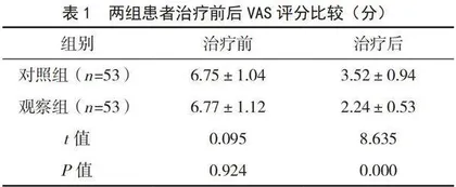 持续被动运动康复训练联合关节松动术对膝关节半月板损伤应用效果