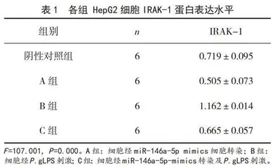 miR-146a-5p对HepG2细胞炎症反应因子IRAK-1表达的影响