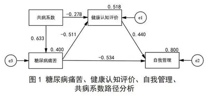 健康认知评价在老年2型糖尿病共病患者糖尿病痛苦与自我管理间的中介效应