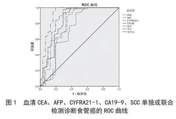 血清CEA、AFP、CYFRA21-1、CA19-9、SCC联合试验对食管癌的诊断效果分析