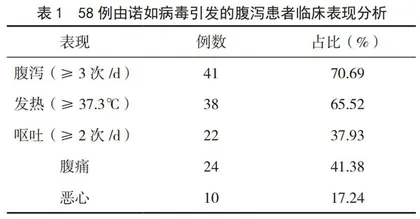 诺如病毒性腹泻暴发调查报告