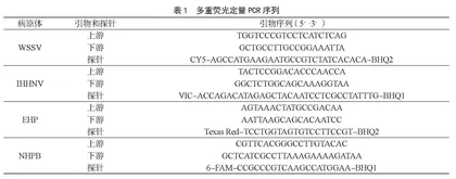WSSV、IHHNV、EHP和NHPB四重荧光定量PCR检测方法的建立