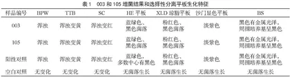 一次性餐具中沙门氏菌检验能力验证结果和关键控制点分析