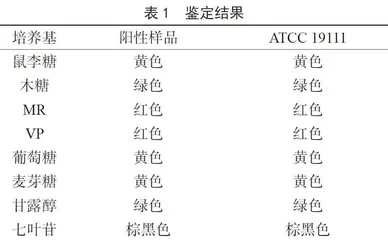 食品中单核细胞增生李斯特氏菌检验方法应用分析