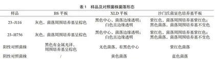 食品中沙门氏菌检测能力验证的结果与分析