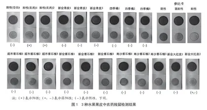 3种水果果皮农药残留的初筛检测