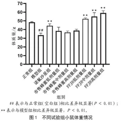 西澳菲斯特农场赤桉蜂蜜对大肠埃希菌腹泻小鼠模型的影响