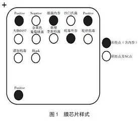 即食果蔬中致病微生物检测技术及研究进展