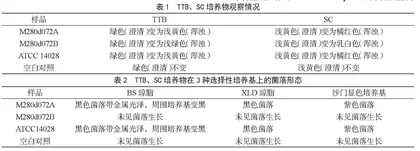 国际FAPAS乳粉中沙门氏菌能力验证结果分析