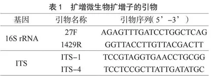 冰箱贮藏鸡胸肉微生物变化规律