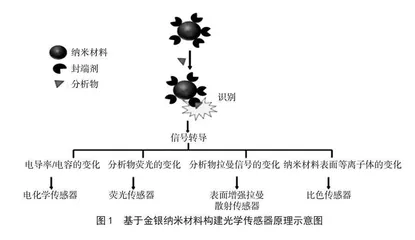 基于金银纳米材料光学传感器的构建及其在食品安全快速检测中的应用