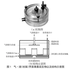 食品添加剂L-香芹酮的吸入遗传毒性评价