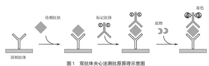 酶联免疫吸附检测技术在肉制品检测中的研究