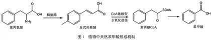 蔓越莓中天然苯甲酸膳食暴露风险评估
