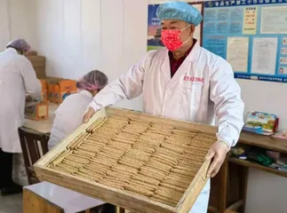 山东省招远市打造标准化芝麻糖小作坊加工园