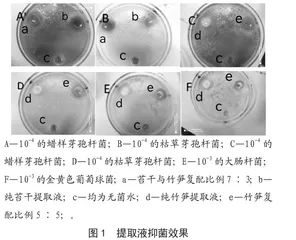 苔干和竹笋提取物及其复配物的抗菌活性研究