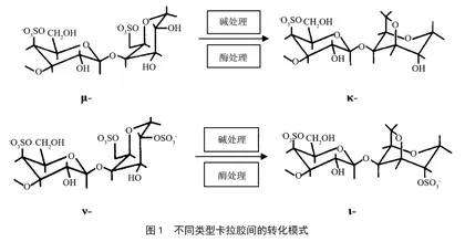 卡拉胶凝胶保水机理及其应用研究