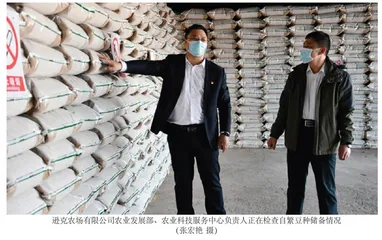 逊克农场有限公司：良种种植模式助力扩豆增收