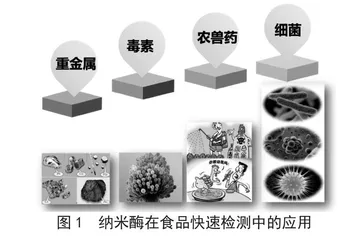 纳米酶在食品安全快速检测中的应用及展望