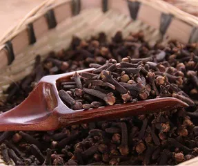 “香料皇后”丁香的妙用