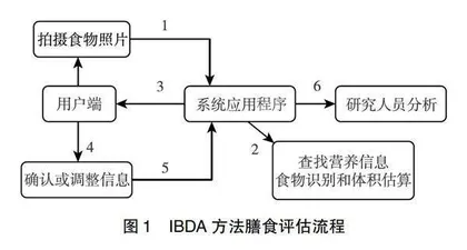 基于图像辅助的膳食微量营养素评估方法有效性研究