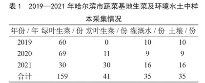 哈尔滨市道里区蔬菜基地生菜和水土环境中常见细菌污染调查分析