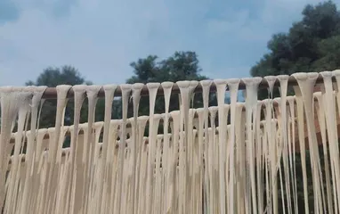 禾青坪咸面